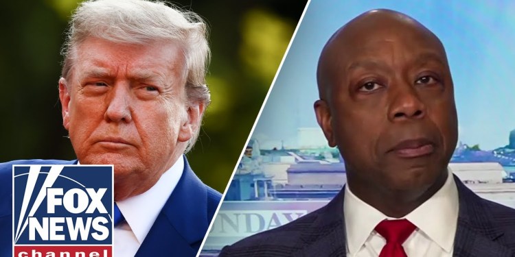 ‘HOGWASH’: Tim Scott slams accusation against Trump ‘HOGWASH’: Tim Scott slams accusation against Trump