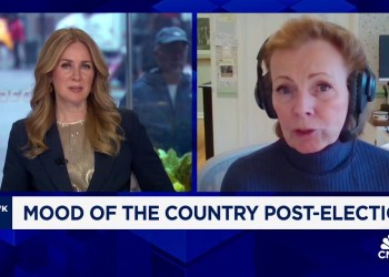 The Democrats have lost their reputation with regular Americans, says WSJ columnist Peggy Noonan The Democrats have lost their reputation with regular Americans, says WSJ columnist Peggy Noonan