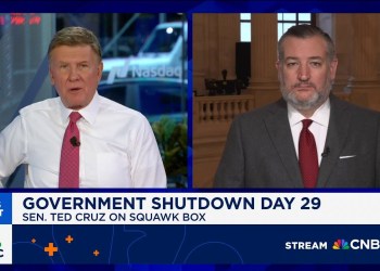 Sen. Ted Cruz on shutdown: This is all about ‘political, saving Chuck Schumer’s rear end’ Sen. Ted Cruz on shutdown: This is all about ‘political, saving Chuck Schumer’s rear end’