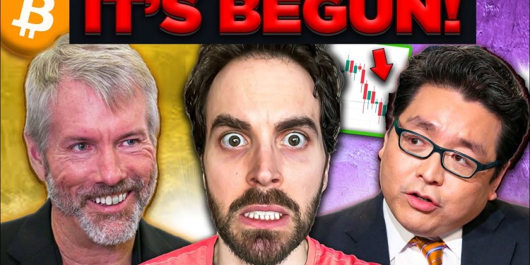 Final Purge for Crypto Market Has Begun? (Michael Saylor, Strategic Crypto Reserve, Tom Lee Bitcoin) Final Purge for Crypto Market Has Begun? (Michael Saylor, Strategic Crypto Reserve, Tom Lee Bitcoin)