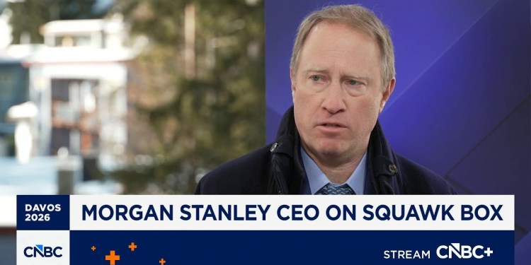 Morgan Stanley CEO Ted Pick: Corporate health of large cap companies is excellent Morgan Stanley CEO Ted Pick: Corporate health of large cap companies is excellent
