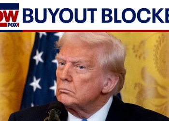 Trump’s federal worker buyout: Judge extends pause | LiveNOW from FOX Trump’s federal worker buyout: Judge extends pause | LiveNOW from FOX