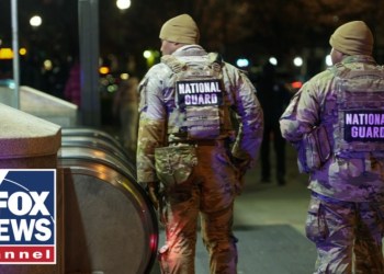 Homan issues GRAVE warning: This is the biggest national security failure Homan issues GRAVE warning: This is the biggest national security failure