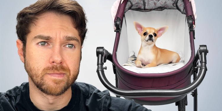 Why Our Generation Is Opting Out Of Kids Why Our Generation Is Opting Out Of Kids