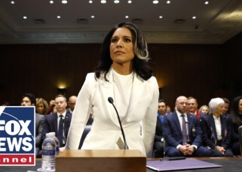 Tulsi Gabbard’s confirmation for director of National Intelligence faces key Senate note Tulsi Gabbard’s confirmation for director of National Intelligence faces key Senate note