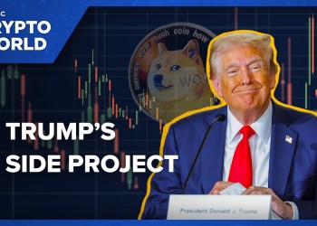 Why President Trump’s Meme Coin Is Raising Alarm Bells Why President Trump’s Meme Coin Is Raising Alarm Bells