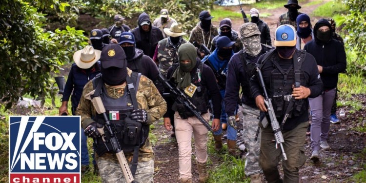 Drug cartels have ‘stronghold’ on Mexico, former ICE agent says Drug cartels have ‘stronghold’ on Mexico, former ICE agent says