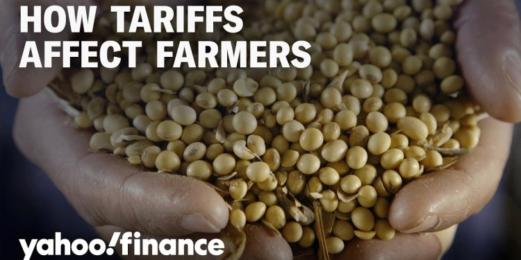How tariffs on China impact US soy farmer exports How tariffs on China impact US soy farmer exports