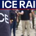 Ex-ICE director on US raids | LiveNOW from FOX Ex-ICE director on US raids | LiveNOW from FOX