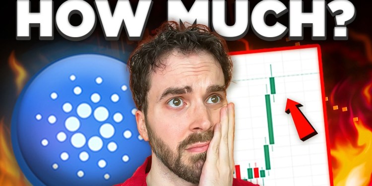 What 1,000 ADA Coins Will Be Worth in 2030… What 1,000 ADA Coins Will Be Worth in 2030…