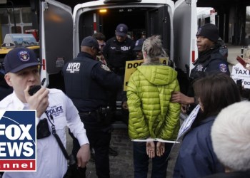 Democrats under fire for ‘jihad’ against Tesla: ‘They’re pro-terrorism now’ Democrats under fire for ‘jihad’ against Tesla: ‘They’re pro-terrorism now’