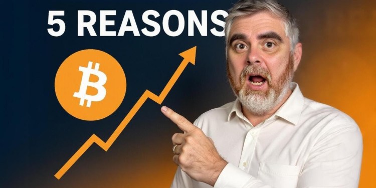 Top 5 Reasons Bitcoin NOT in Crypto Winter Top 5 Reasons Bitcoin NOT in Crypto Winter
