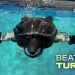 Meet the Sea Turtle Robot for Ocean Conservation Meet the Sea Turtle Robot for Ocean Conservation