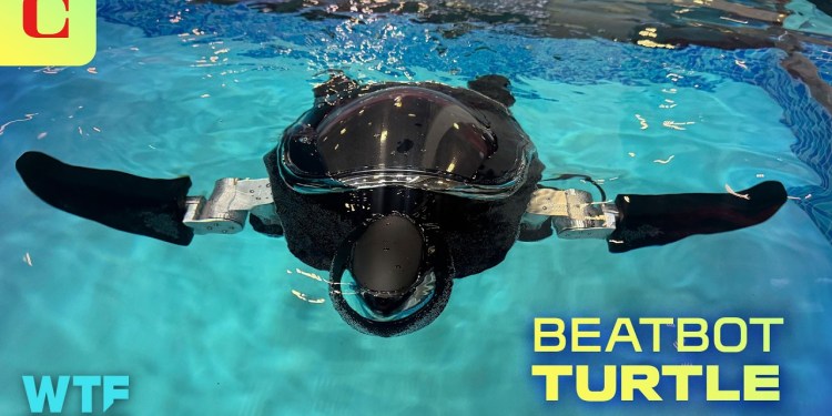 Meet the Sea Turtle Robot for Ocean Conservation Meet the Sea Turtle Robot for Ocean Conservation