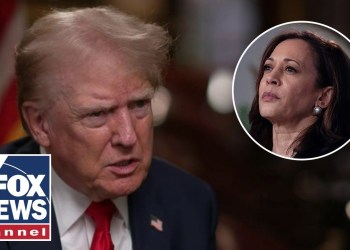 Trump answers whether he will debate Kamala Harris or not Trump answers whether he will debate Kamala Harris or not