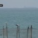Gunfire Reported as Iran Shuts Strait of Hormuz and US Blockade Intensifies Gunfire Reported as Iran Shuts Strait of Hormuz and US Blockade Intensifies