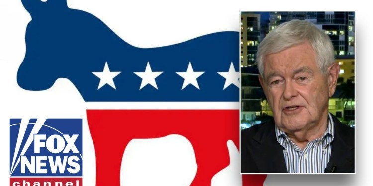 ‘NO ROOM LEFT’ for moderates in Democratic party, Newt Gingrich advises this ‘NO ROOM LEFT’ for moderates in Democratic party, Newt Gingrich advises this