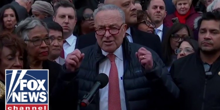 ‘SO DEPRESSING’: Chuck Schumer ripped by DEMOCRATS for Musk protest ‘SO DEPRESSING’: Chuck Schumer ripped by DEMOCRATS for Musk protest
