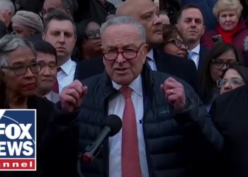 ‘SO DEPRESSING’: Chuck Schumer ripped by DEMOCRATS for Musk protest ‘SO DEPRESSING’: Chuck Schumer ripped by DEMOCRATS for Musk protest