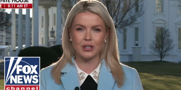 Leavitt puts Mexican cartels on NOTICE: Do not ‘lay a finger’ on US citizens Leavitt puts Mexican cartels on NOTICE: Do not ‘lay a finger’ on US citizens