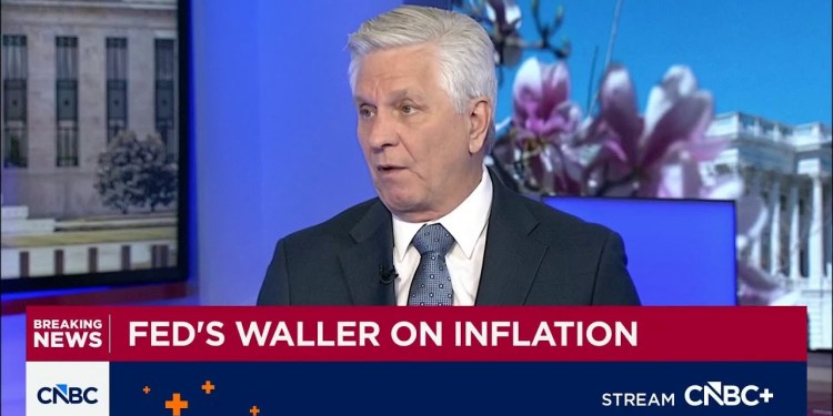 Fed Governor Chris Waller on interest rate outlook: Caution is warranted Fed Governor Chris Waller on interest rate outlook: Caution is warranted