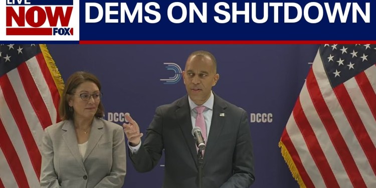 House Democrats speak on shutdown, election results | LiveNOW from FOX House Democrats speak on shutdown, election results | LiveNOW from FOX