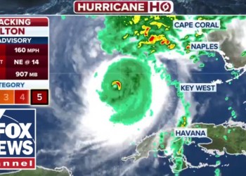 Floridians resorting to private contractors over FEMA ahead of Hurricane Milton Floridians resorting to private contractors over FEMA ahead of Hurricane Milton