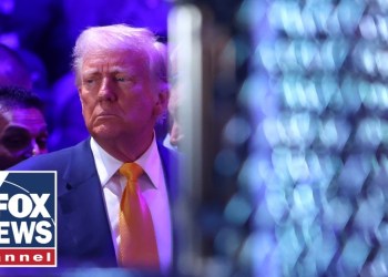 WATCH: President Trump to attend UFC fight in New Jersey WATCH: President Trump to attend UFC fight in New Jersey