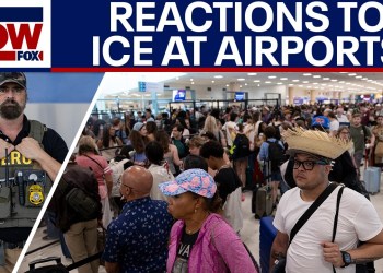 Travelers react after Trump deploys ICE agents to airports to curb TSA lines Travelers react after Trump deploys ICE agents to airports to curb TSA lines
