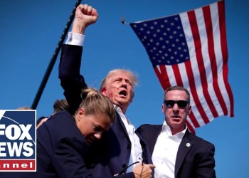 Ex-Secret Service agent says agency is ‘broken’ after second Trump assassination attempt Ex-Secret Service agent says agency is ‘broken’ after second Trump assassination attempt