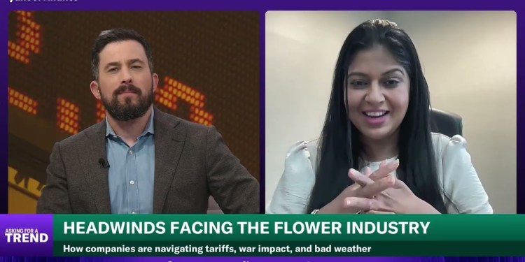 Mother’s Day flowers to come with a bigger price tag this year Mother’s Day flowers to come with a bigger price tag this year