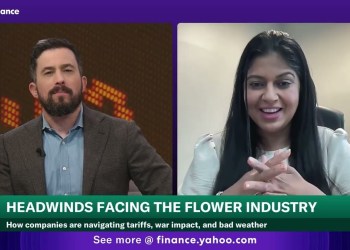 Mother’s Day flowers to come with a bigger price tag this year Mother’s Day flowers to come with a bigger price tag this year