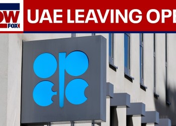 United Arab Emirates announces exit from OPEC United Arab Emirates announces exit from OPEC