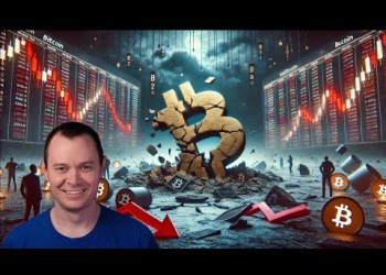 Bitcoin: Damage Report Bitcoin: Damage Report