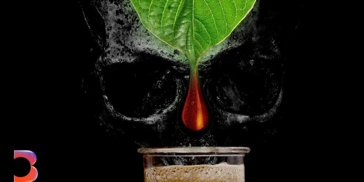 The Growing Toll of America’s Booming Kratom Industry The Growing Toll of America’s Booming Kratom Industry