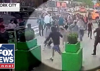 MANHUNT launched for mob of violent teen gangbangers who assaulted NYPD MANHUNT launched for mob of violent teen gangbangers who assaulted NYPD