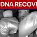 FBI: Glove found in Nancy Guthrie search appears to match suspect’s, DNA recovered FBI: Glove found in Nancy Guthrie search appears to match suspect’s, DNA recovered