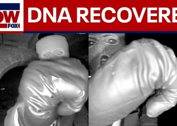 FBI: Glove found in Nancy Guthrie search appears to match suspect’s, DNA recovered FBI: Glove found in Nancy Guthrie search appears to match suspect’s, DNA recovered