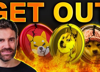 Crypto Insiders WARN: Memecoins Are Crashing – Get Out NOW!? Crypto Insiders WARN: Memecoins Are Crashing – Get Out NOW!?