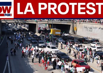 WATCH: Anti-ICE protesters block freeway in LA | LiveNOW from FOX WATCH: Anti-ICE protesters block freeway in LA | LiveNOW from FOX