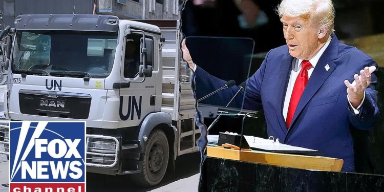 Trump admin reveals plan to CRACK DOWN on illegal truck drivers Trump admin reveals plan to CRACK DOWN on illegal truck drivers