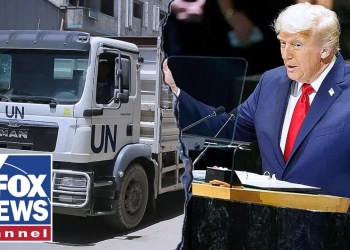 Trump admin reveals plan to CRACK DOWN on illegal truck drivers Trump admin reveals plan to CRACK DOWN on illegal truck drivers