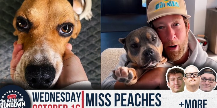 Dave Portnoy Adopts a Brother for Miss Peaches | Barstool Rundown | October 16th, 2024 Dave Portnoy Adopts a Brother for Miss Peaches | Barstool Rundown | October 16th, 2024