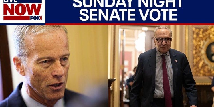 Senate leaders weigh in ahead of government shutdown test vote Senate leaders weigh in ahead of government shutdown test vote