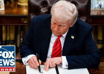 Legal expert warns Dems are on ‘thin ice’ for blocking these executive actions Legal expert warns Dems are on ‘thin ice’ for blocking these executive actions