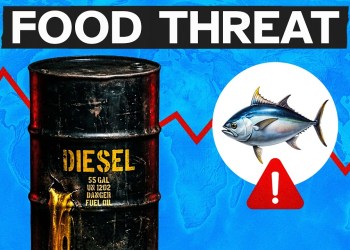 Diesel Disaster: Why Your Food Bill Is About to Explode Diesel Disaster: Why Your Food Bill Is About to Explode