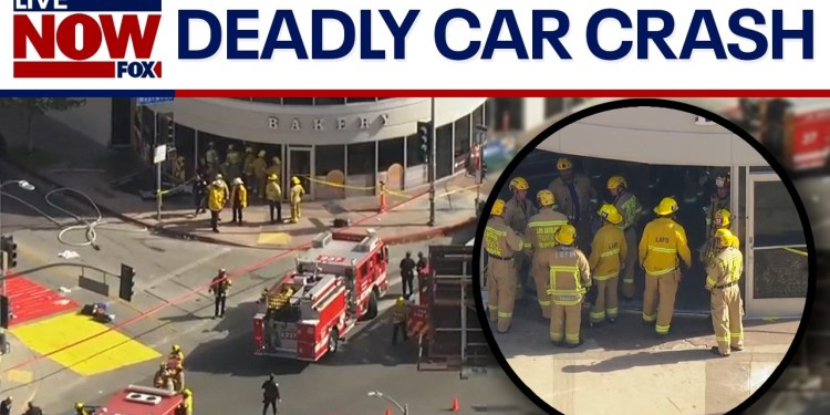 Car crashes into grocery store in LA: 3+ dead, multiple people injured Car crashes into grocery store in LA: 3+ dead, multiple people injured