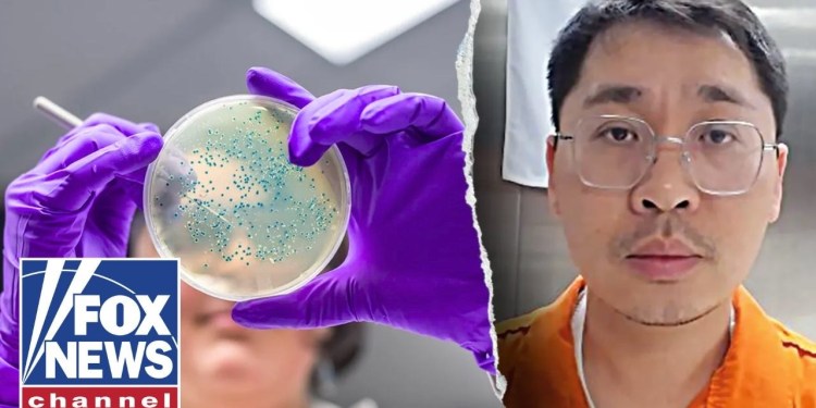 Bio pathogen marked as WOMEN’S UNDERWEAR smuggled into US Bio pathogen marked as WOMEN’S UNDERWEAR smuggled into US