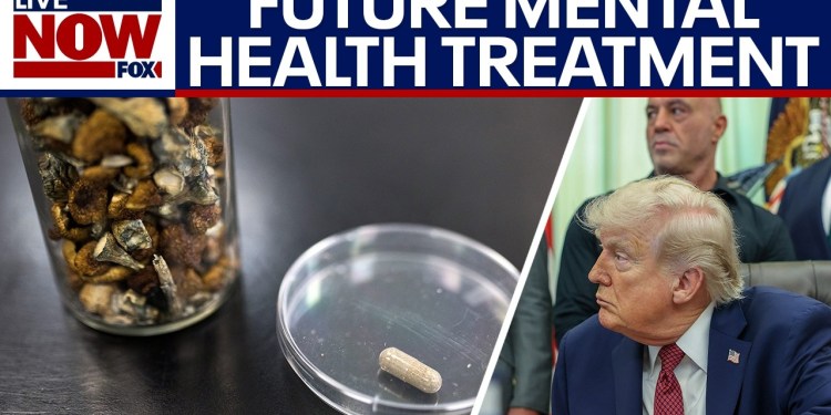 Trump’s psychedelics executive order could overhaul mental health treatment Trump’s psychedelics executive order could overhaul mental health treatment