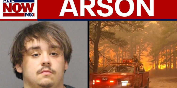 New Jersey wildfire: 19-year-old charged with aggravated arson | LiveNOW from FOX New Jersey wildfire: 19-year-old charged with aggravated arson | LiveNOW from FOX